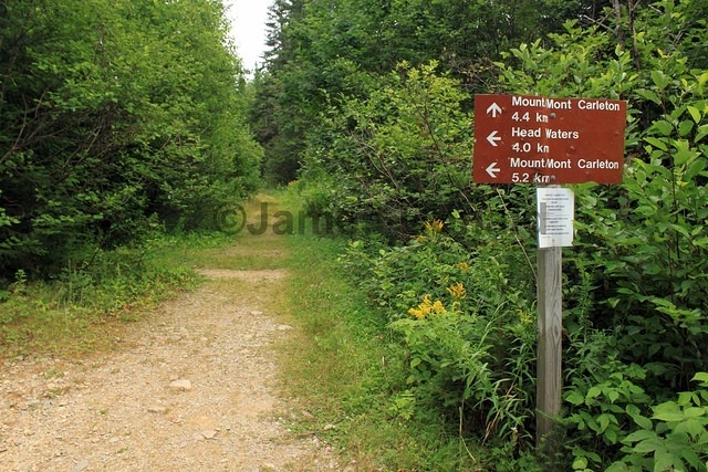 Mount Carleton Trail Head