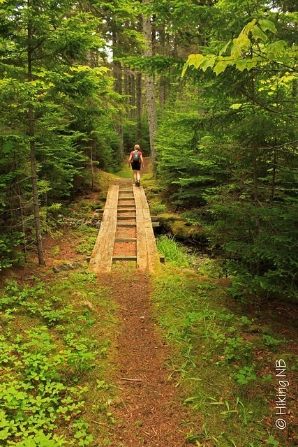 Second Bridge