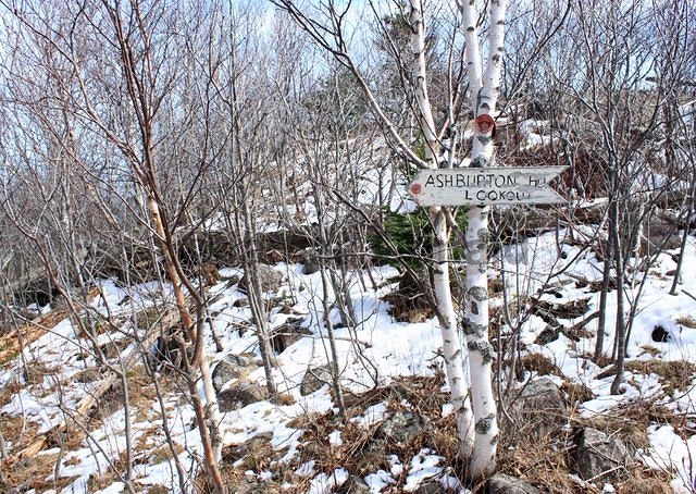 Ashburton Head Lookout