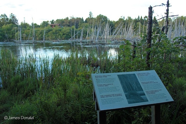 Sign and Shelter