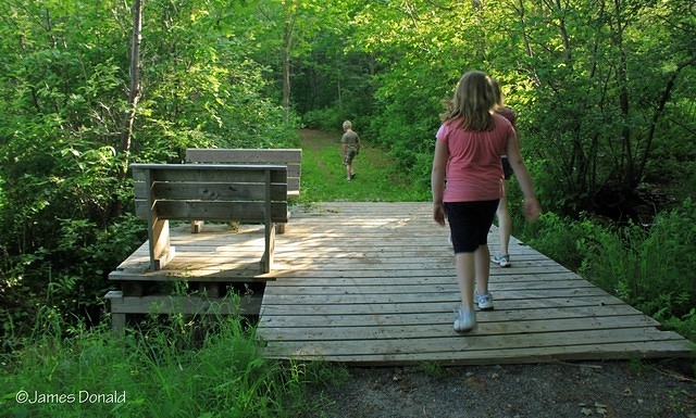 Benches and Bridge
