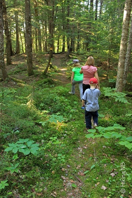 Return Trail