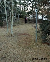 Continuing Trail