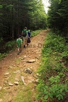 Trail Walking