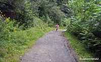 Trail to the Boardwalk