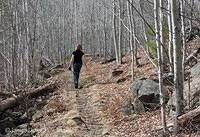Quarry Trail