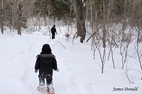 Woods Trail