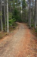 Sadlers Nature Trail