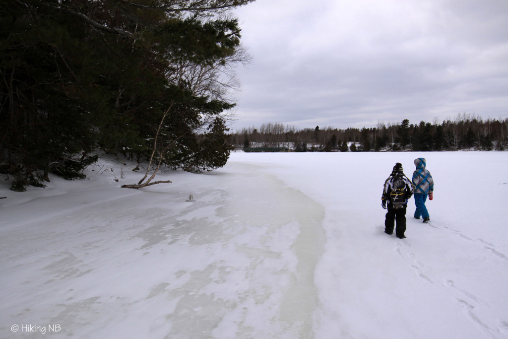 Torn on the Kouchibouguac River Trail at Kouchibouguac Park Hiking NB