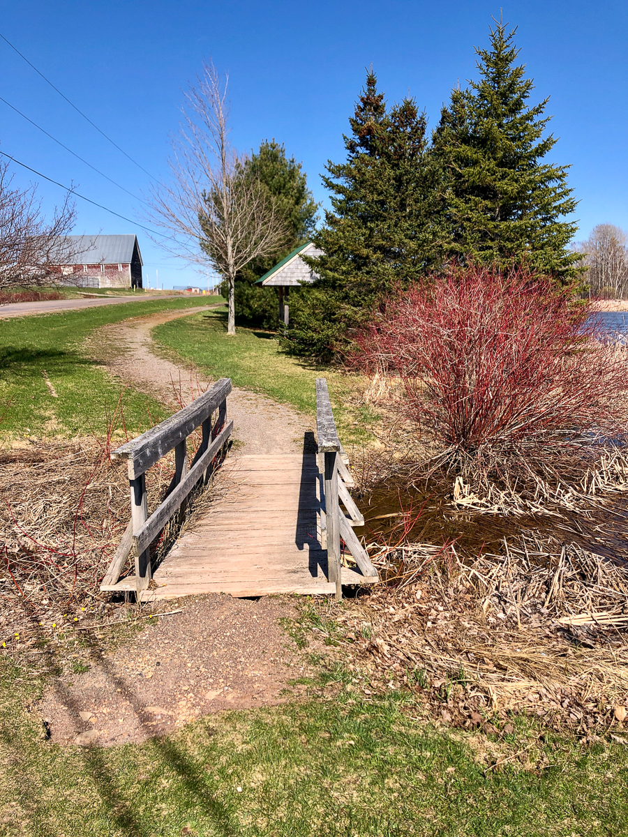 The start of the Petitcodiac Dykeland Trails