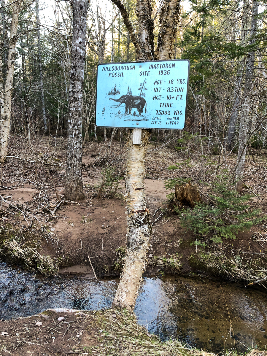 Mastodon Fossil Sign