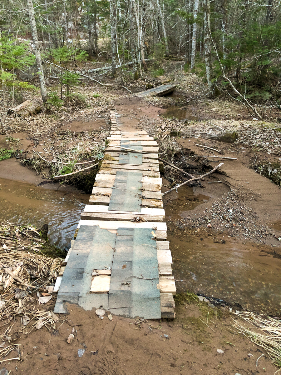 Sink holes on the Roots Trail at White Rock Recreation Area