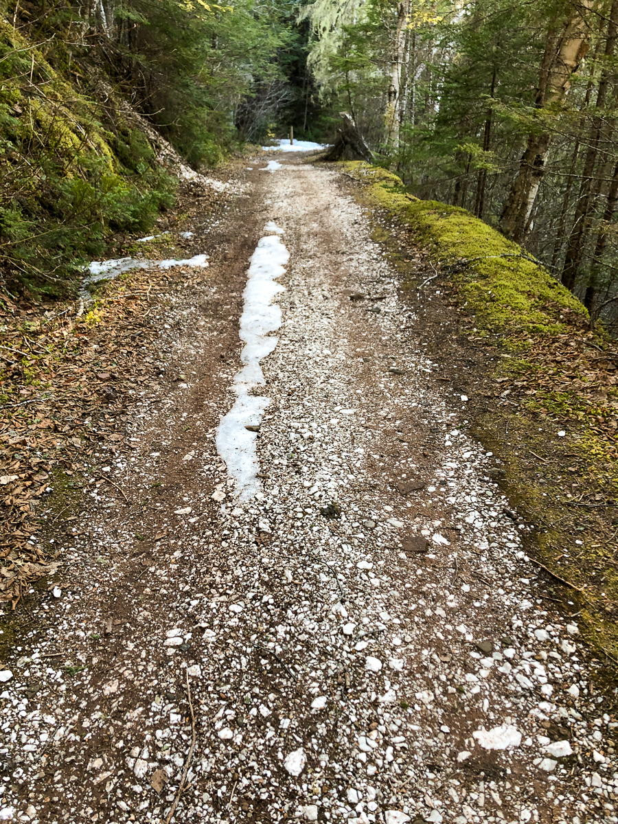 Old Roads at White Rock Recreation Area