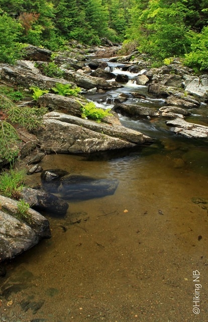 Laverty Brook