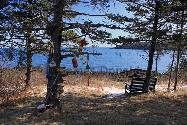 Bench and Buoys