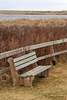 Marsh Bench