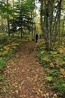 East Trail