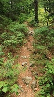 11-rocky-trail