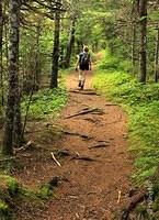 Moosehorn Trail