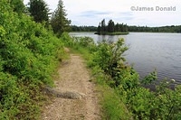 Lake and Trail