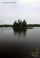 McAdam Pond