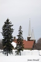 Steeples and Trees